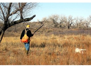 Property photo 16 - 4/S Ranch Land Auction - 5,613 Acres in 3 Tracts - World Class Hunting Property!